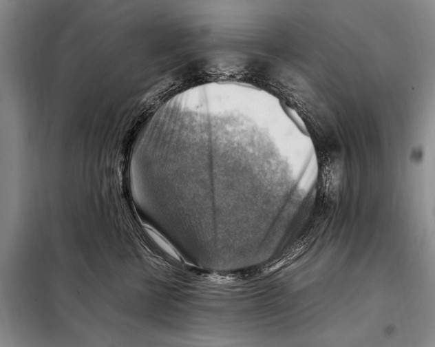 X0000097880570200804110954