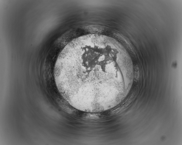 X0000097880573200804110954