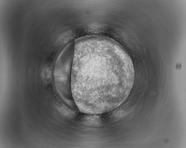 X0000097880576200804110954