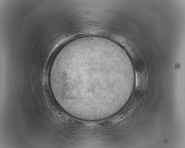 X0000097880579200804110953