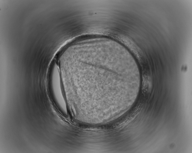 X0000097880580200804110953