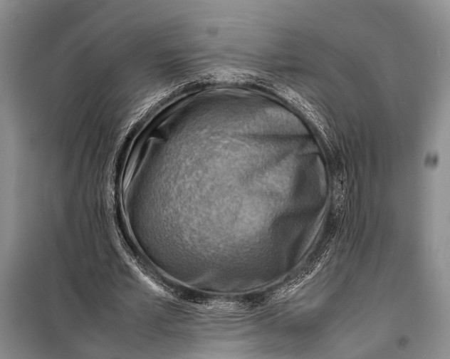 X0000097880581200804110953