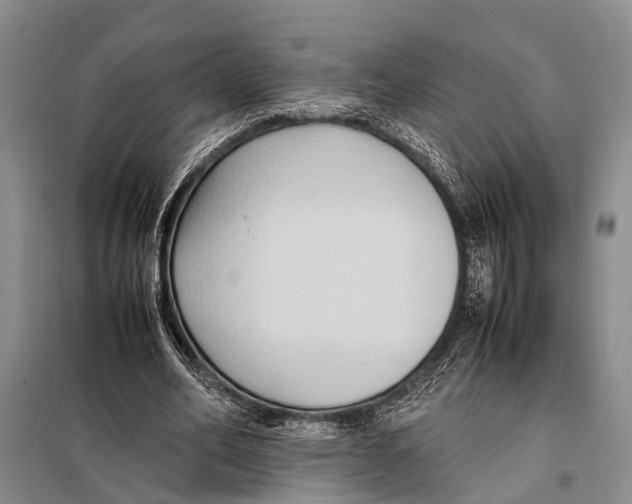 X0000097880582200804110953