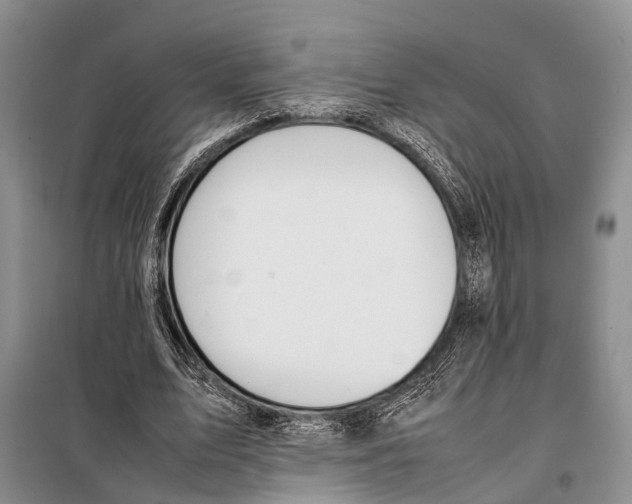 X0000097880583200804110953