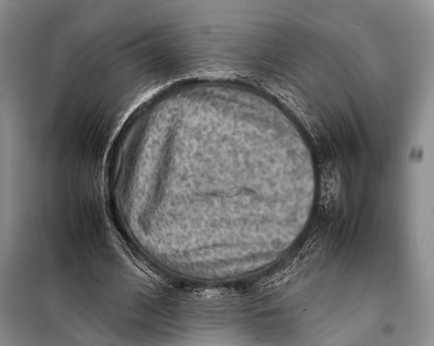 X0000097880584200804110953