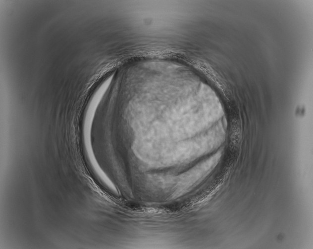 X0000097880585200804110953