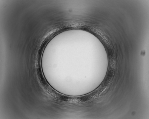 X0000097880587200804110953