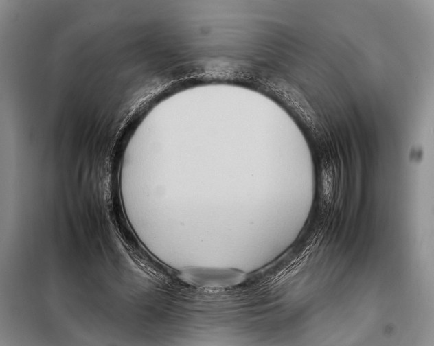 X0000097880588200804110953