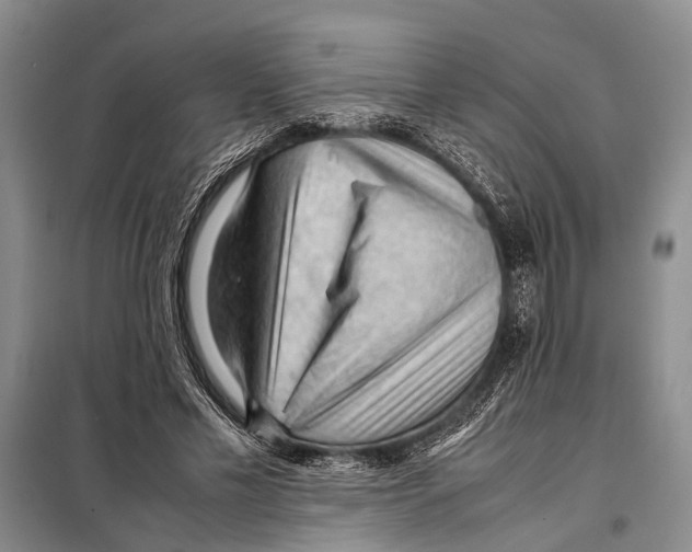 X0000097880589200804110953