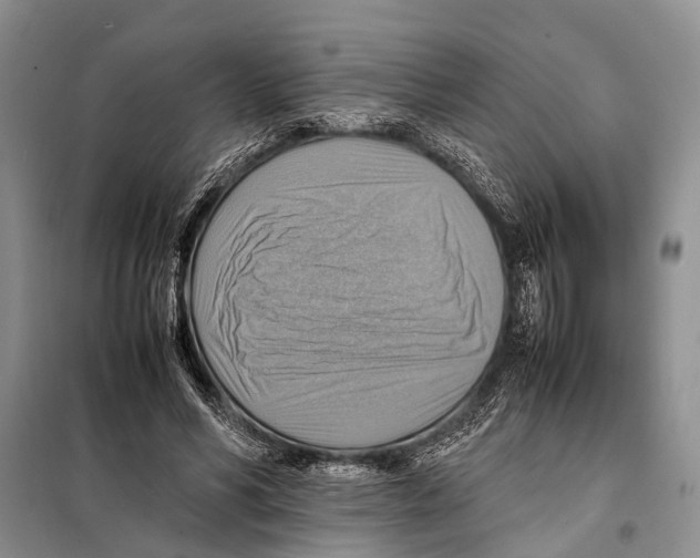 X0000097880590200804110953