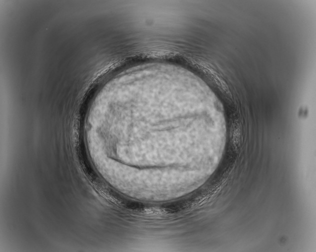 X0000097880591200804110953