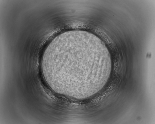 X0000097880592200804110953