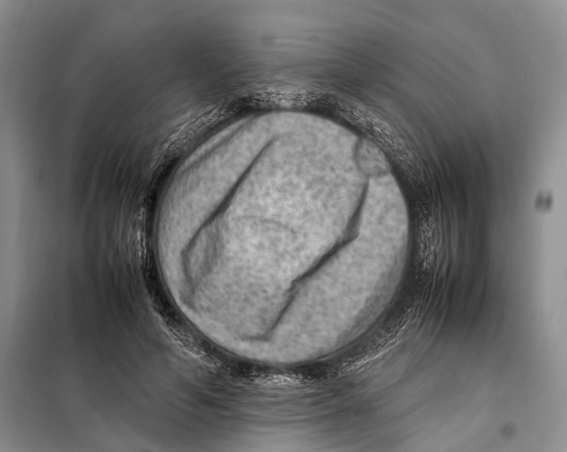 X0000097880594200804110953