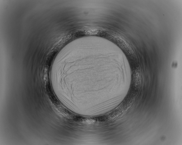 X0000097880598200804110953