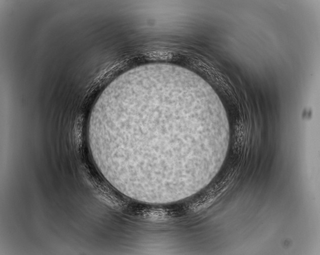 X0000097880600200804110953