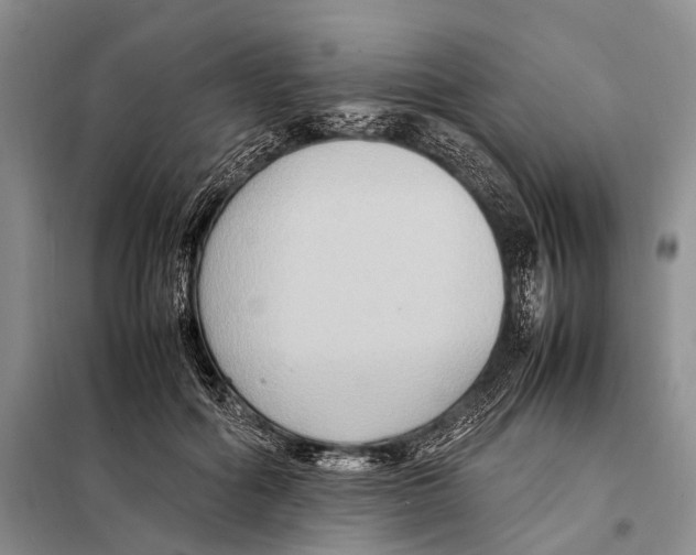 X0000097880602200804110953