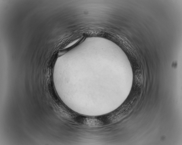 X0000097880605200804110953