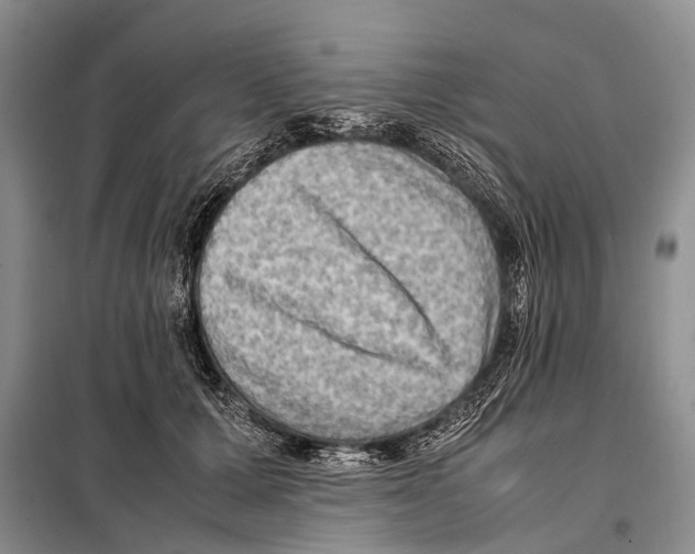 X0000097880607200804110952