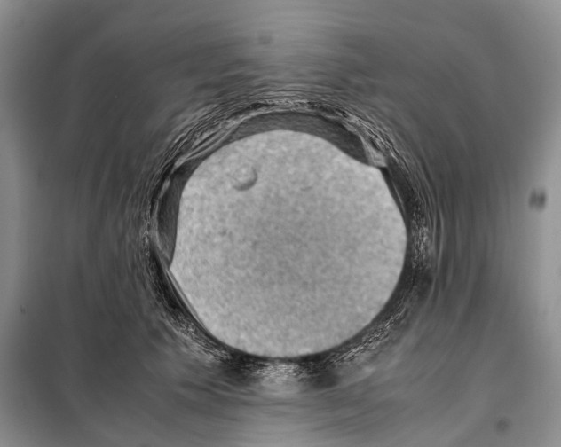 X0000097880609200804110952