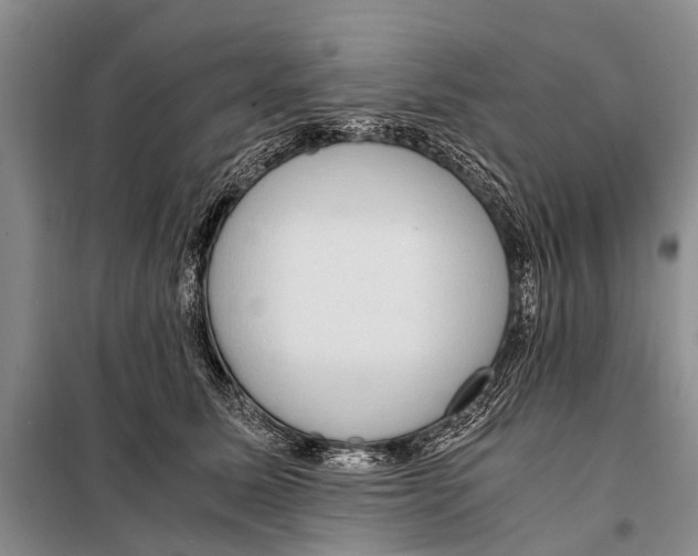 X0000097880611200804110952