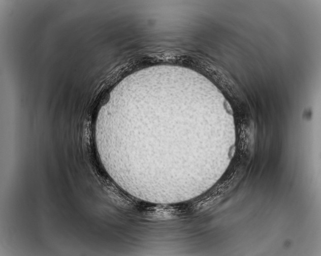 X0000097880612200804110952