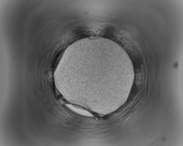 X0000097880613200804110952