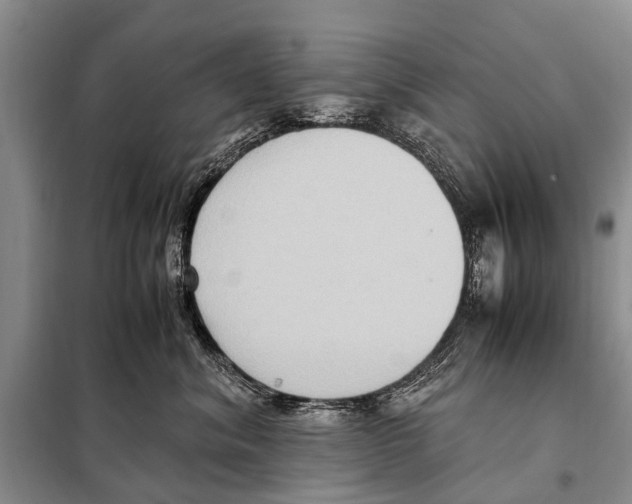 X0000097880620200804110952