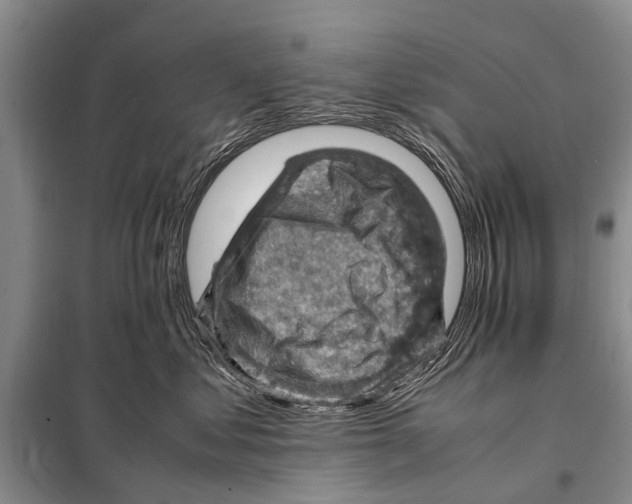 X0000097880621200804110952