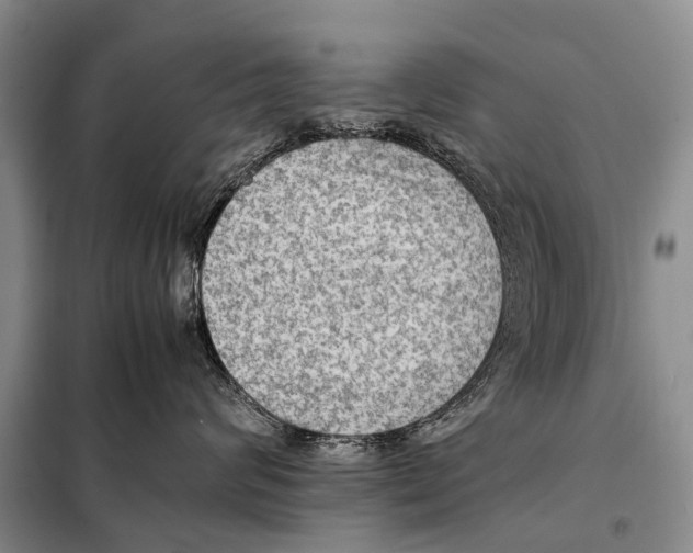 X0000097880624200804110952