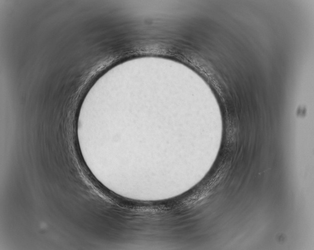 X0000097880625200804110951