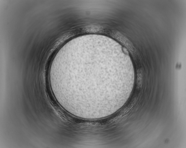 X0000097880626200804110951