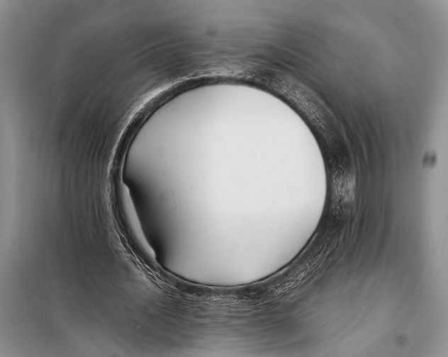 X0000097880628200804110951