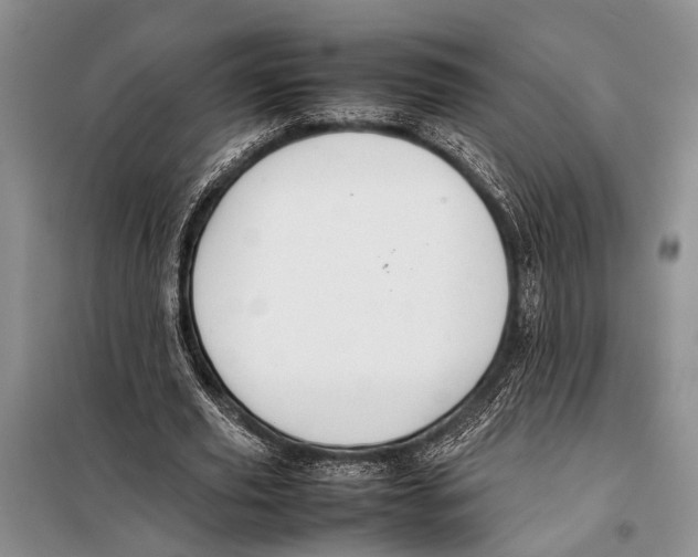 X0000097880629200804110951