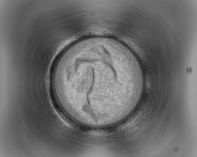 X0000097880630200804110951