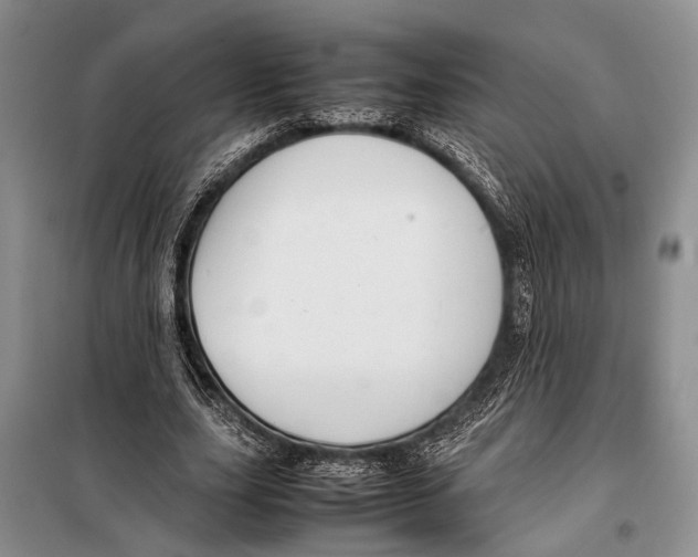 X0000097880631200804110952