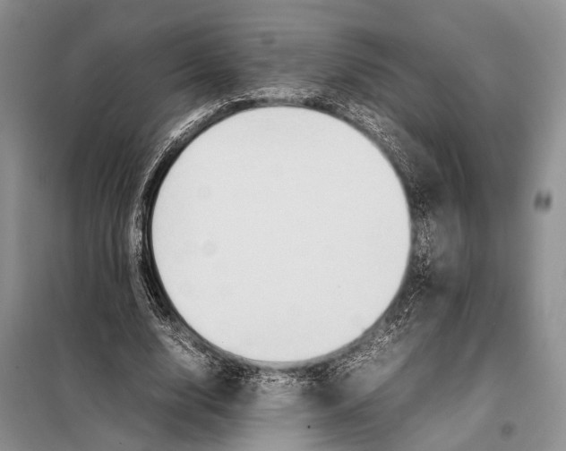 X0000097880632200804110952