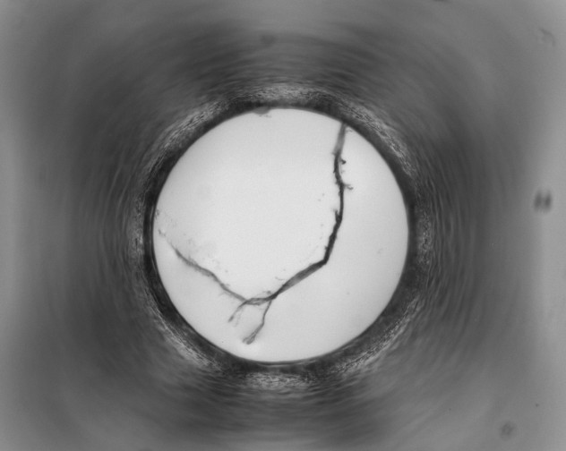 X0000097880633200804110952