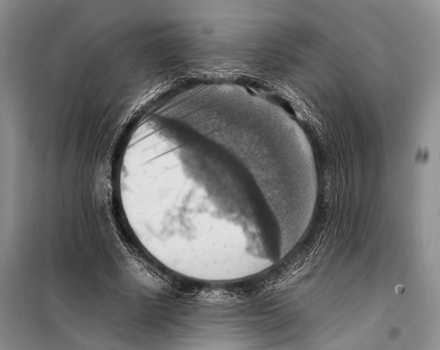 X0000097880634200804110952