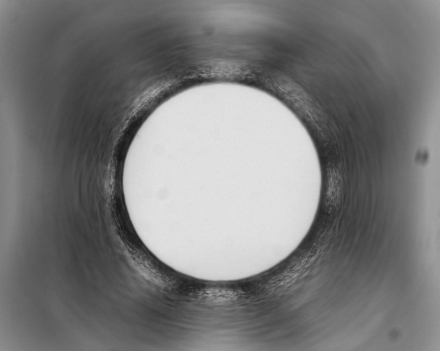 X0000097880636200804110952