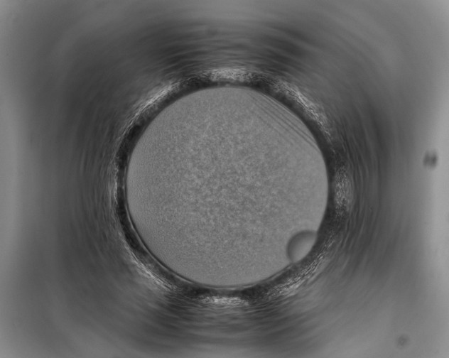 X0000097880637200804110952