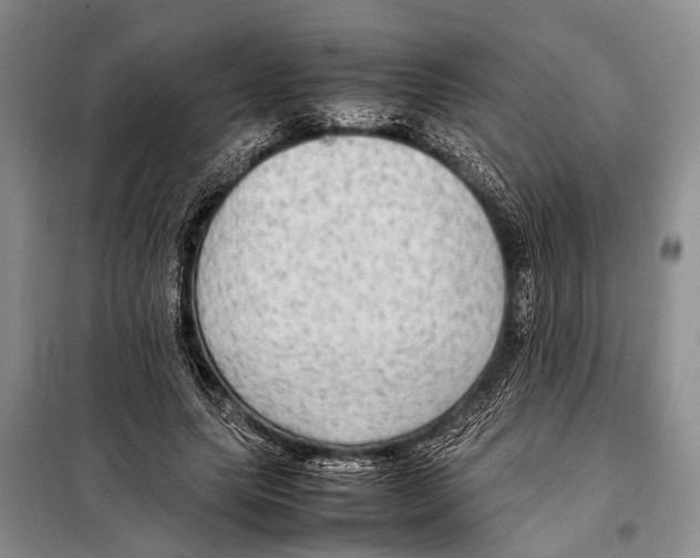 X0000097880639200804110952