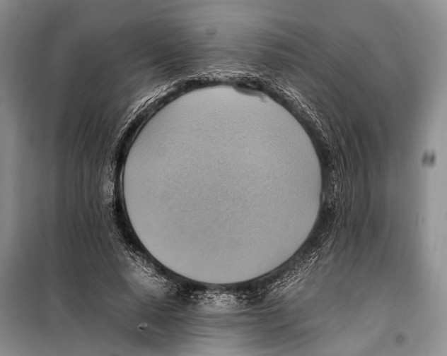 X0000097880640200804110952