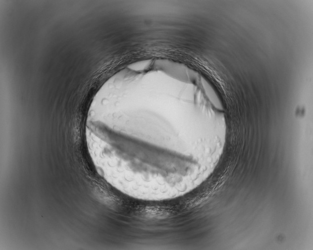 X0000097880641200804110952