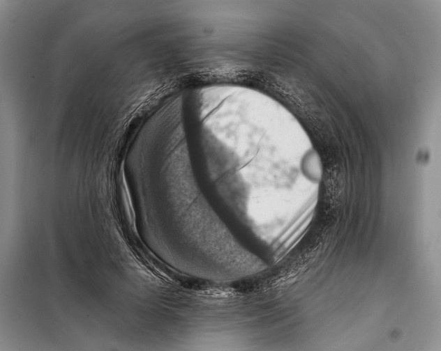 X0000097880642200804110952