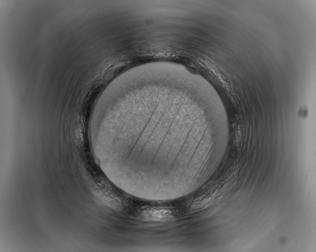 X0000097880643200804110952