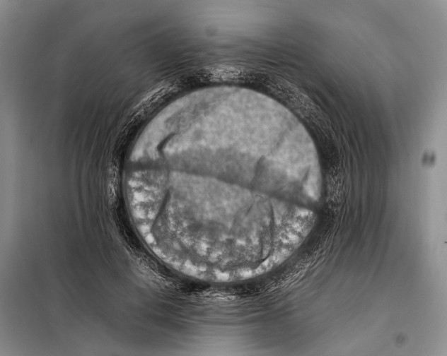 X0000097880648200804110952