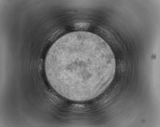 X0000097880649200804110952