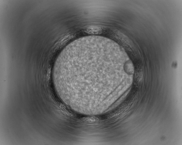 X0000097880652200804110952