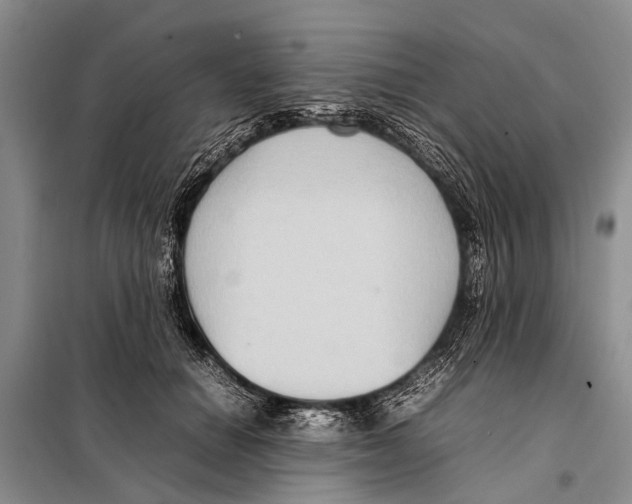 X0000097880654200804110952