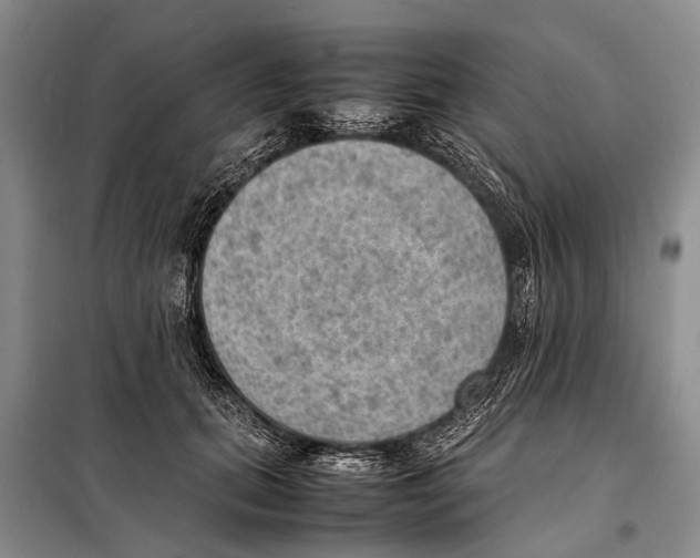 X0000097880655200804110952